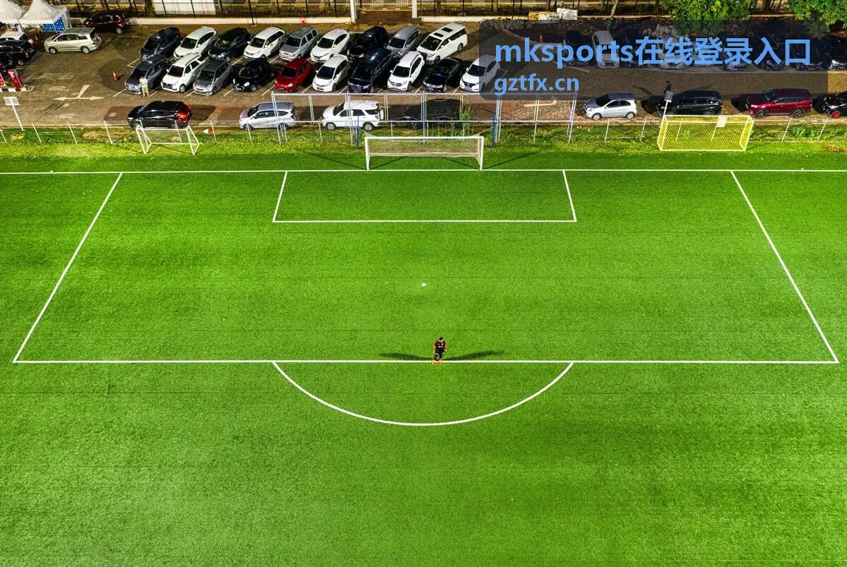mksports在线登录入口登录流程示意