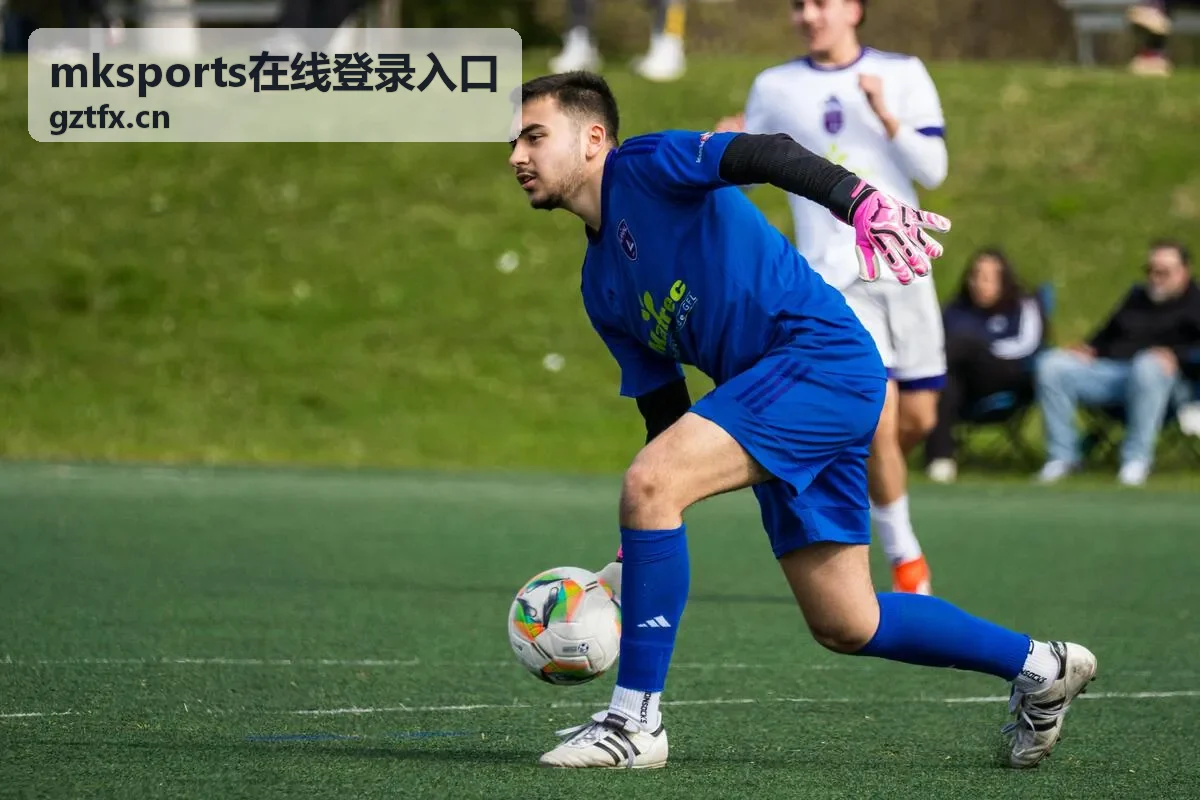 mksports在线登录入口地址核验示意